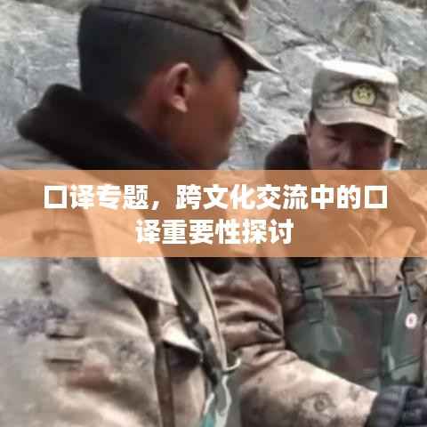 口译专题,跨文化交流中的口译重要性探讨
