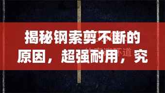 揭秘钢索剪不断的原因,超强耐用,究竟有何奥秘?