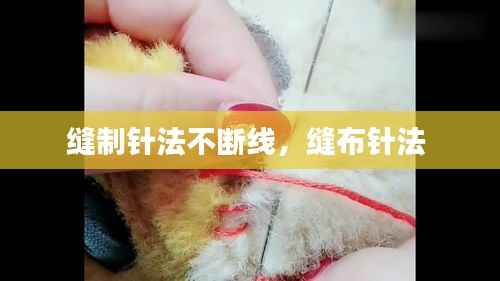 缝制针法不断线,缝布针法
