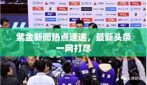 紫金新闻热点速递，最新头条一网打尽