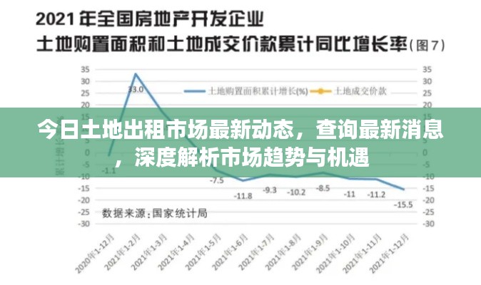今日土地出租市场最新动态,查询最新消息,深度解析市场趋势与机遇
