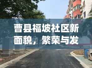 曹县福坡社区新面貌,繁荣与发展同步前行