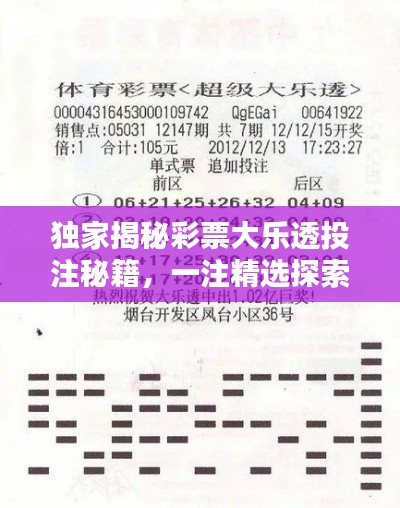 独家揭秘彩票大乐透投注秘籍,一注精选探索中奖奥秘!
