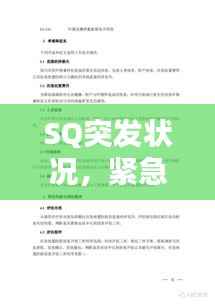 SQ突发状况，紧急应对与处理