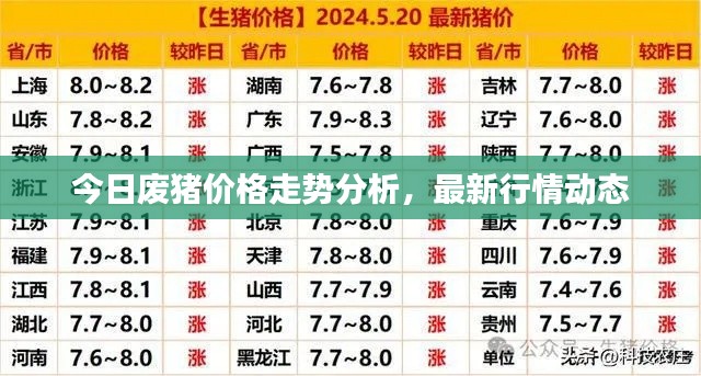 今日废猪价格走势分析,最新行情动态