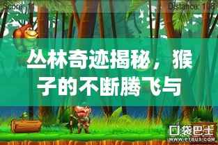 丛林奇迹揭秘,猴子的不断腾飞与探索之旅