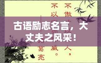 古语励志名言,大丈夫之风采!