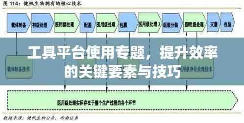 工具平台使用专题,提升效率的关键要素与技巧