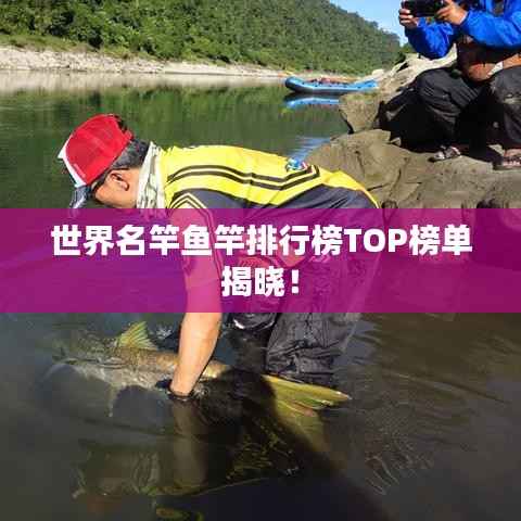 世界名竿鱼竿排行榜TOP榜单揭晓!