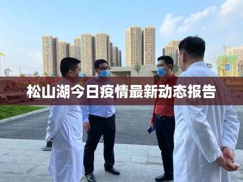 松山湖今日疫情最新动态报告
