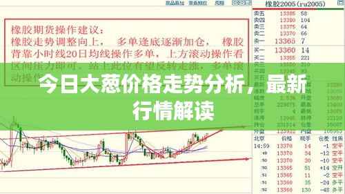 今日大葱价格走势分析，最新行情解读