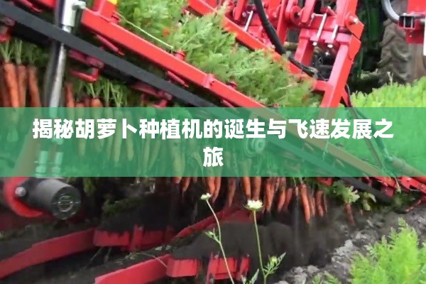 揭秘胡萝卜种植机的诞生与飞速发展之旅