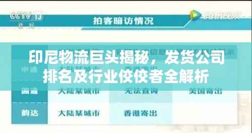 印尼物流巨头揭秘，发货公司排名及行业佼佼者全解析