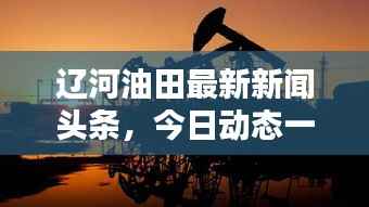 辽河油田最新新闻头条，今日动态一网打尽！