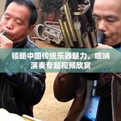 领略中国传统乐器魅力,唢呐演奏专题视频欣赏