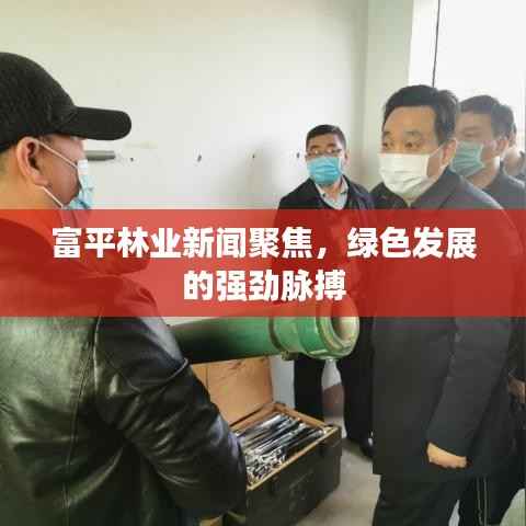 富平林业新闻聚焦,绿色发展的强劲脉搏