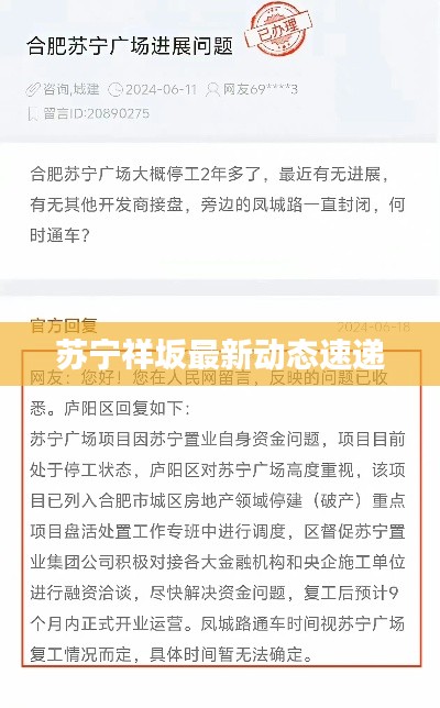 苏宁祥坂最新动态速递